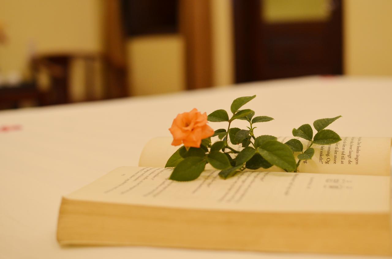 Panda Garden Homestay Hoi An Luaran gambar