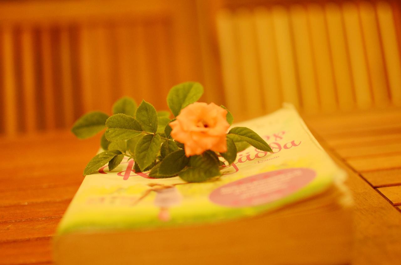 Panda Garden Homestay Hoi An Luaran gambar